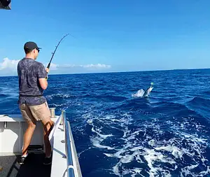 Full Day Reef Fishing Share Charter | From Cairns