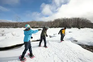 Lake Mountain Snow Play & Waterfalls Tour