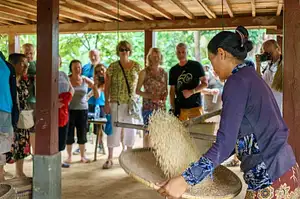 Community Village Excursion | Half Day Private Tour