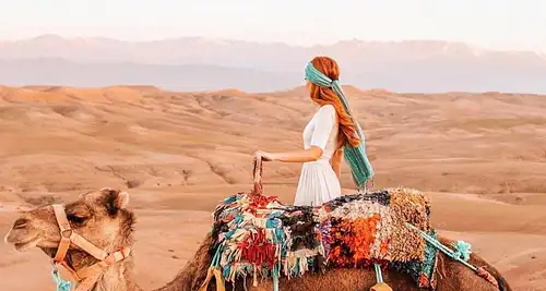 Sunset Camel Ride and Dinner in the Desert of Agafay