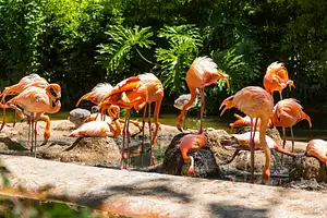 Barcelona Zoo Tickets
