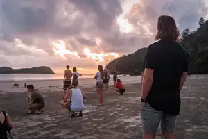 Beach Sunrise with the Wallabies Special