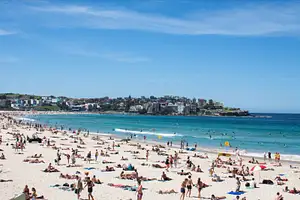 7 Day Sydney to Brisbane Experience: Bushwalks & Surfing | G Adventures 18 to 30somethings