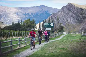 Bike tours in Queenstown