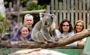 nature tours melbourne