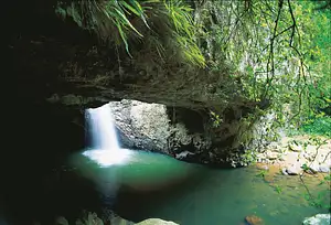Natural Bridge & Springbrook Waterfalls Tour