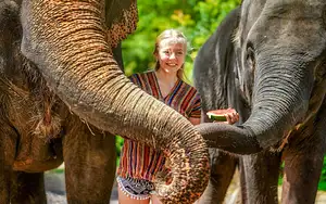 One Day Volunteer Program at Phuket Elephant Sanctuary