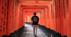 9 Day Japan Essentials: Tokyo to Osaka Tour | One Life Adventures