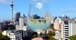 Auckland City Highlights | Private Tour